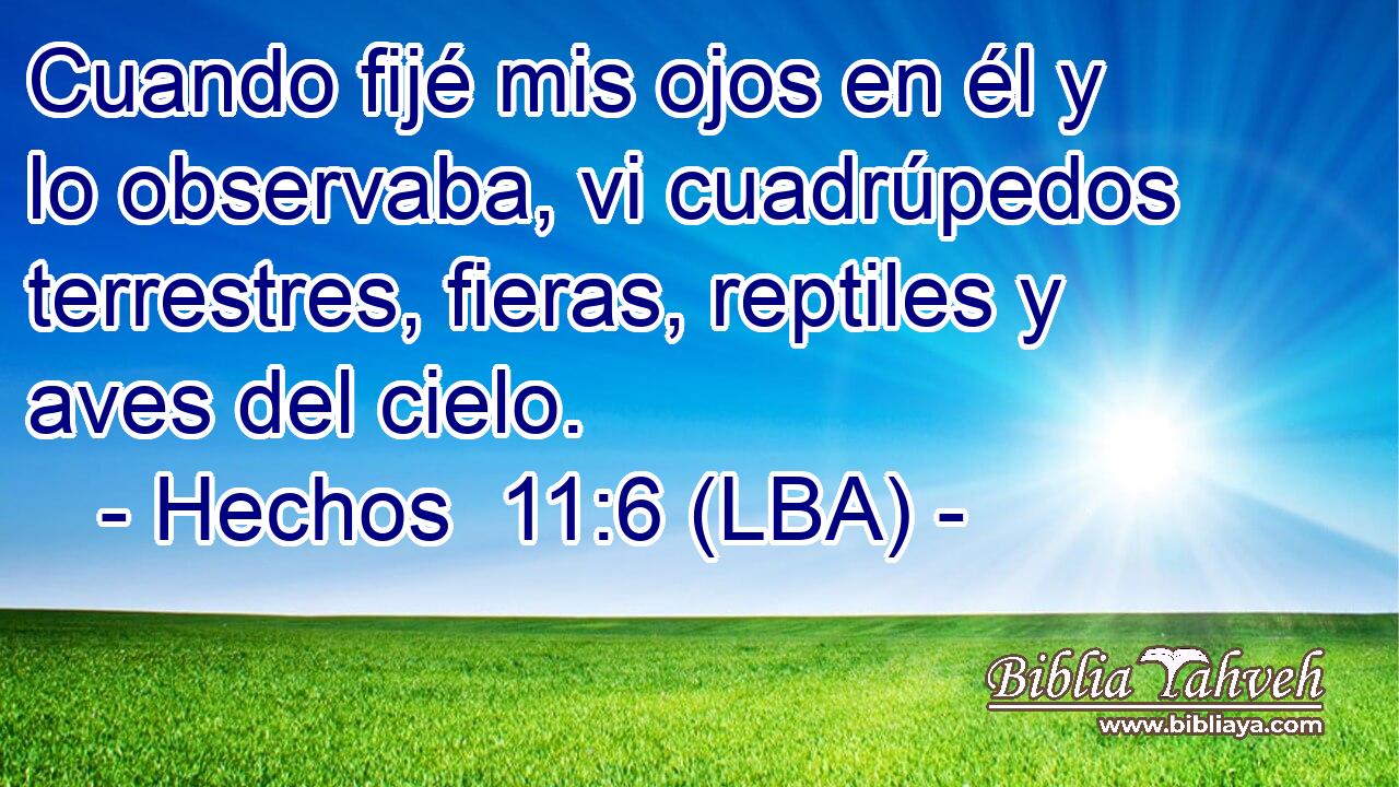 Cuando fijé mis ojos en él y lo observaba, vi cuadrúpedos terrestres, fieras, reptiles y aves del cielo.