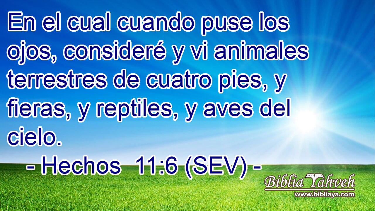En el cual cuando puse los ojos, consideré y vi animales terrestres de cuatro pies, y fieras, y reptiles, y aves del cielo.