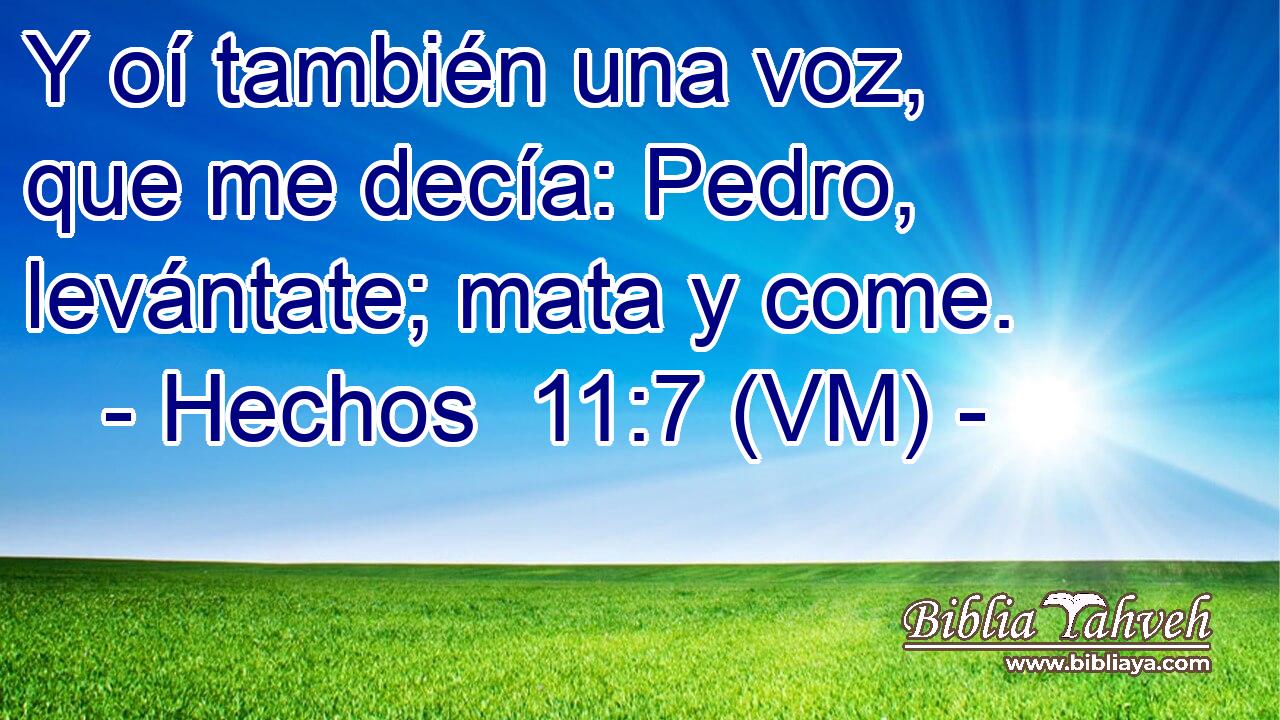  Y oí también una voz, que me decía: Pedro, levántate; mata y come. 