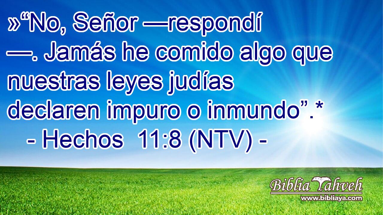 »“No, Señor —respondí —. Jamás he comido algo que nuestras leyes judías declaren impuro o inmundo”.*