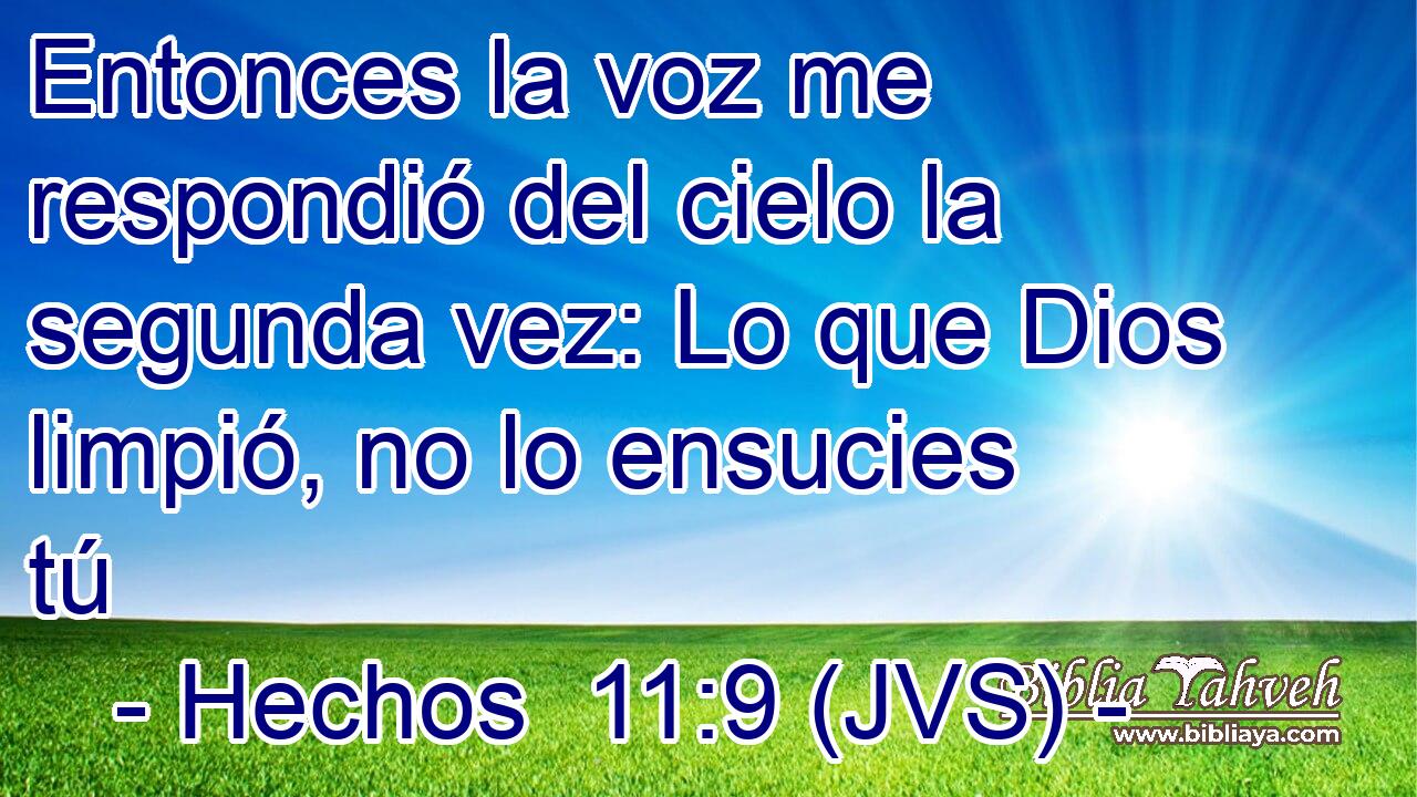 Entonces la voz me respondió del cielo la segunda vez: Lo que Dios limpió, no lo ensucies tú