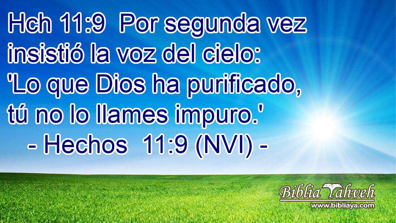 Hch 11:9  Por segunda vez insistió la voz del cielo: 'Lo que Dios ha purificado, tú no lo llames impuro.' 