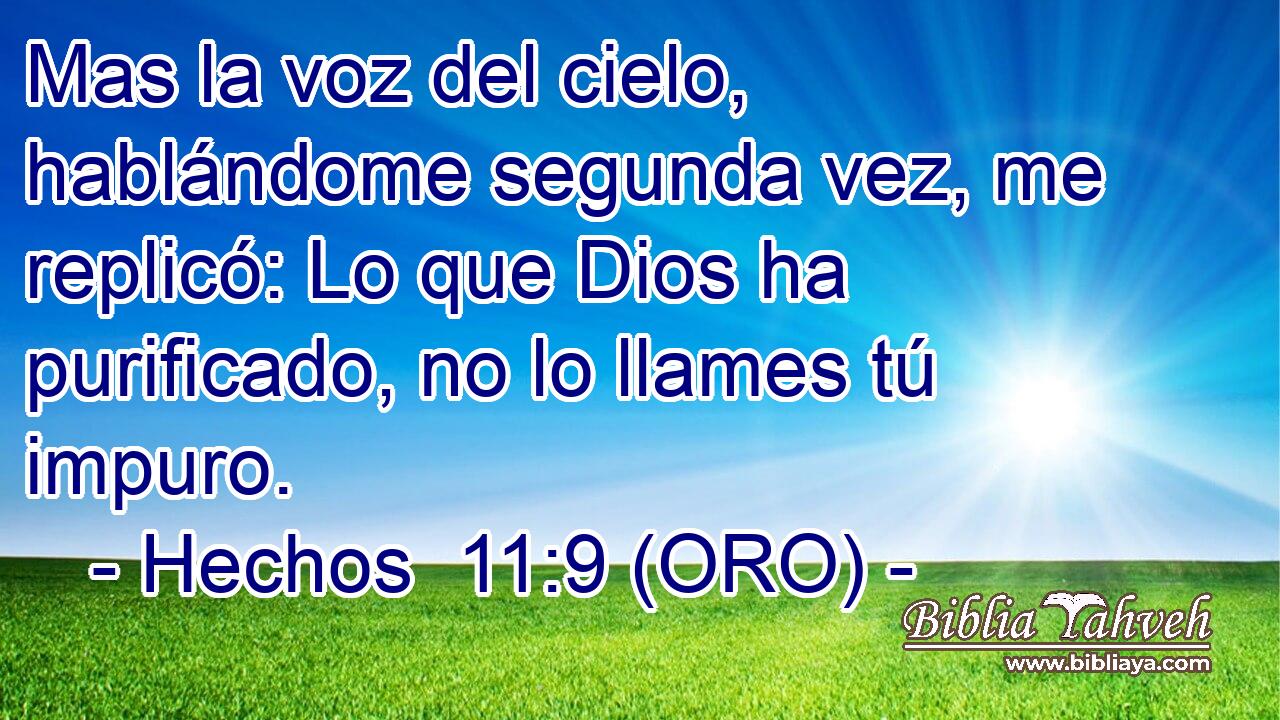  Mas la voz del cielo, hablándome segunda vez, me replicó: Lo que Dios ha purificado, no lo llames tú impuro. 