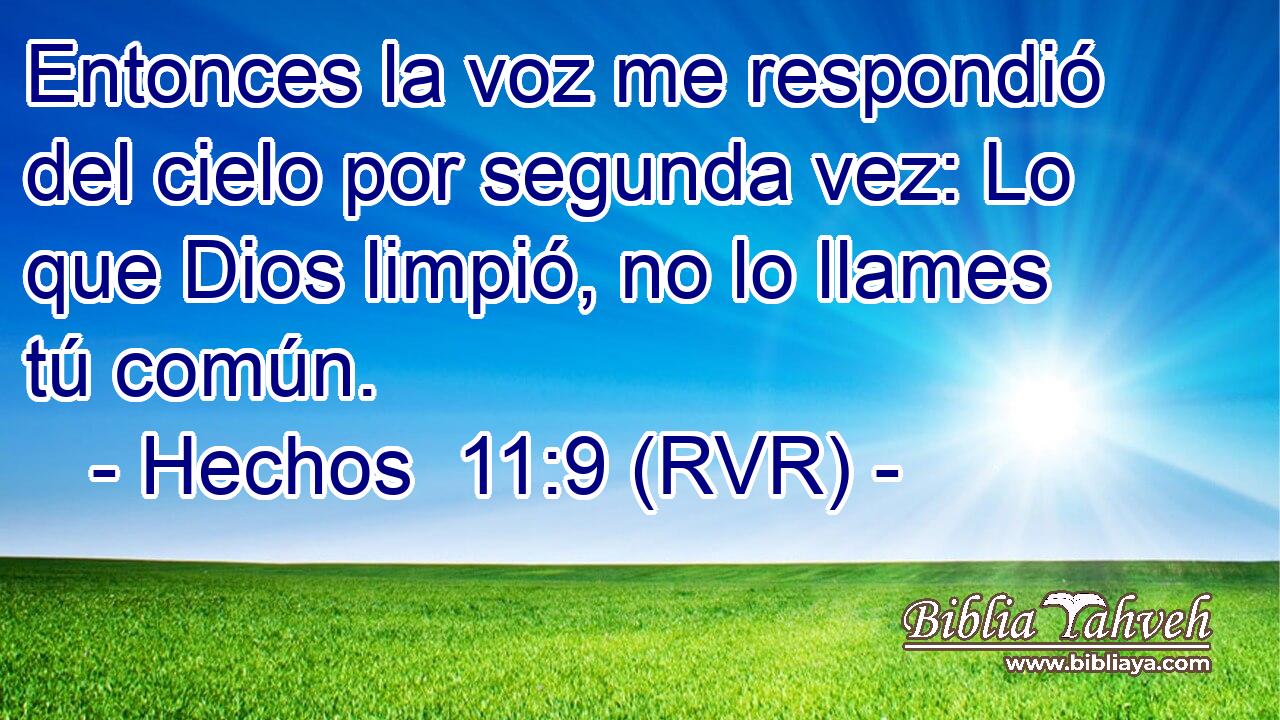 Entonces la voz me respondió del cielo por segunda vez: Lo que Dios limpió, no lo llames tú común.