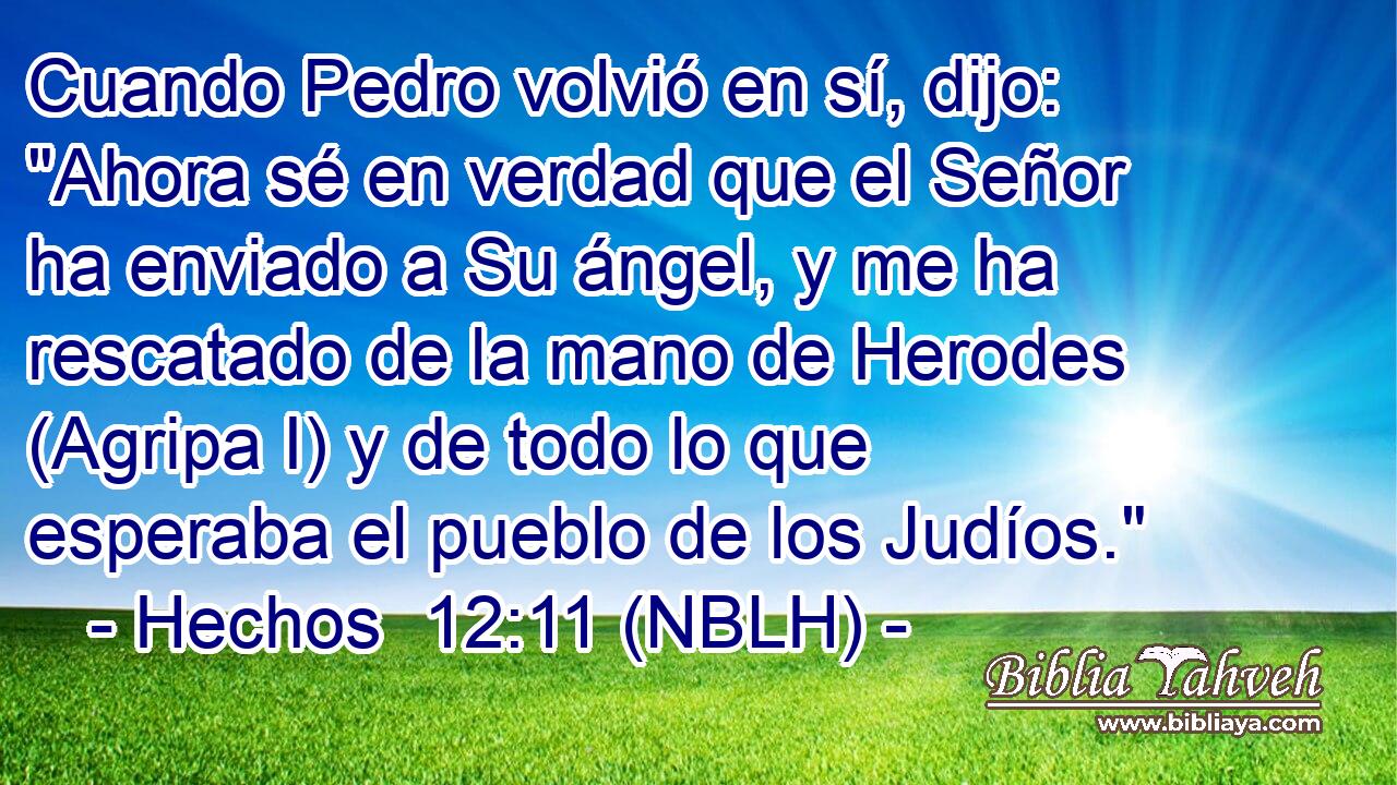  Cuando Pedro volvió en sí, dijo: 