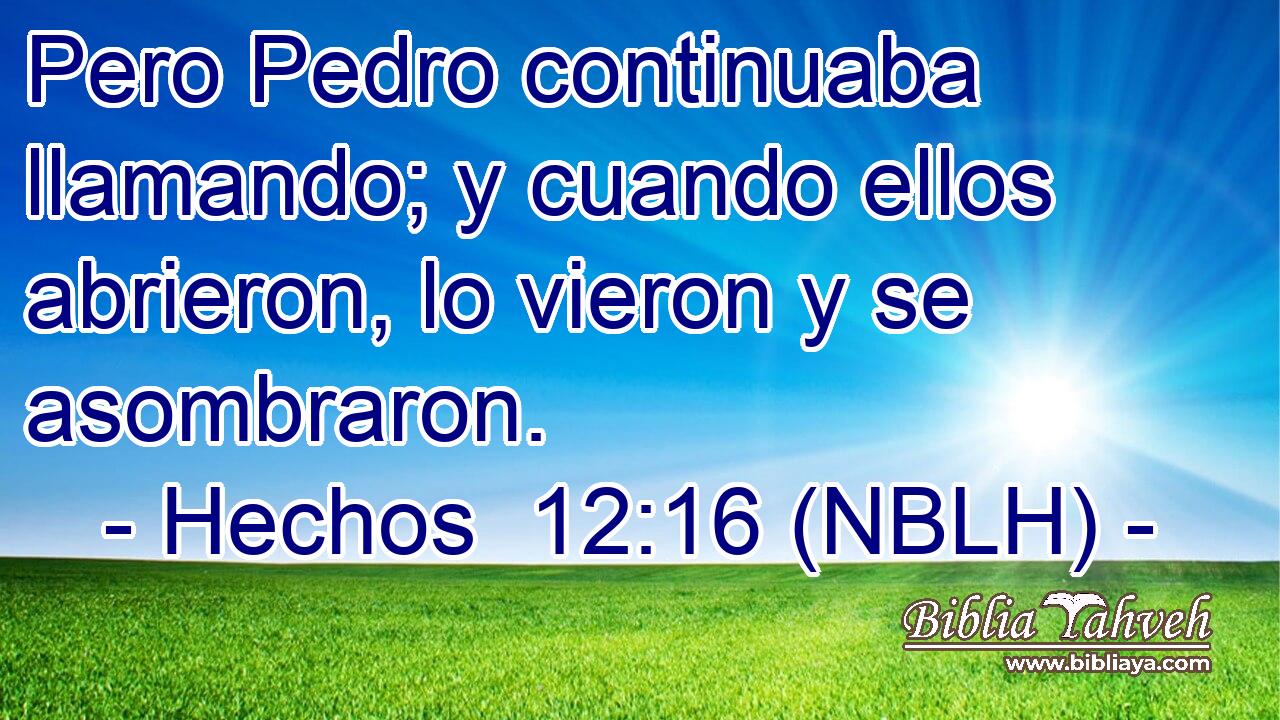  Pero Pedro continuaba llamando; y cuando ellos abrieron, lo vieron y se asombraron. 