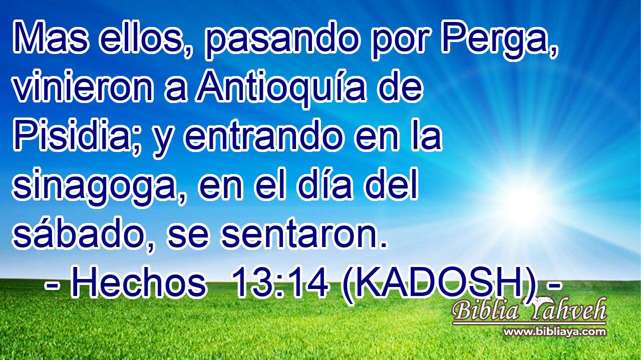  Mas ellos, pasando por Perga, vinieron a Antioquía de Pisidia; y entrando en la sinagoga, en el día del sábado, se sentaron. 