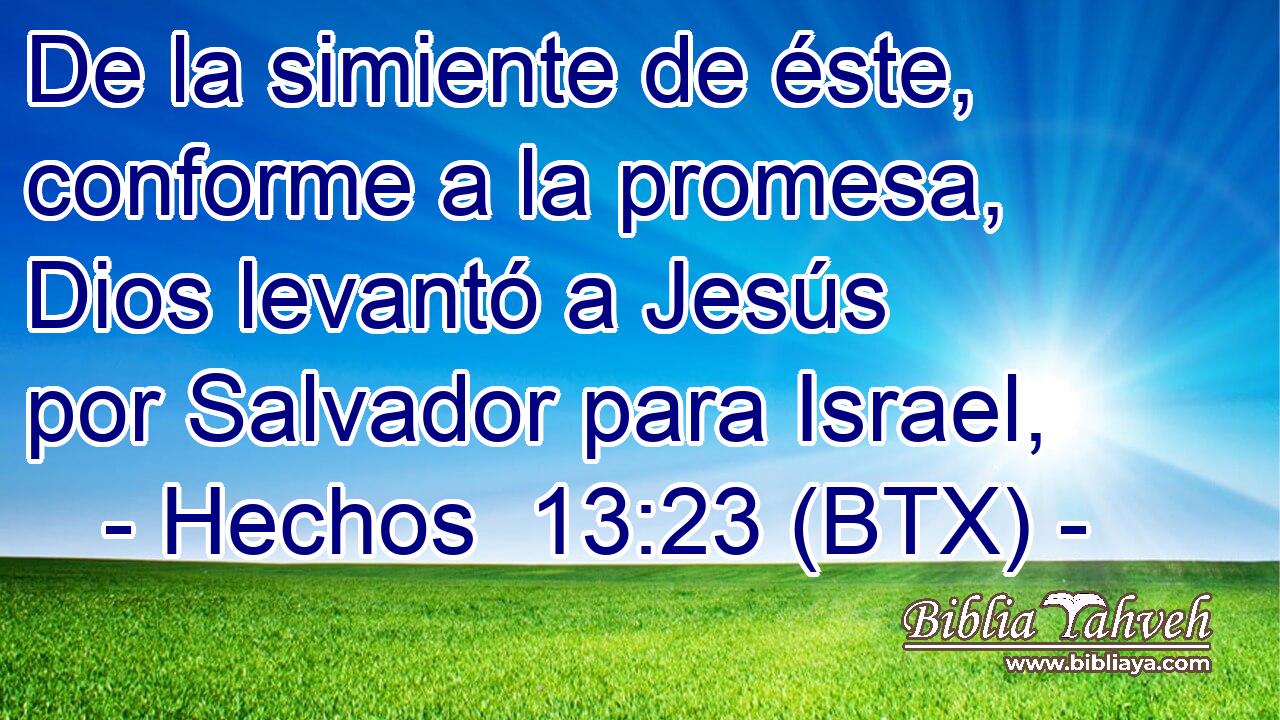 De la simiente de éste, conforme a la promesa, Dios levantó a Jesús por Salvador para Israel,