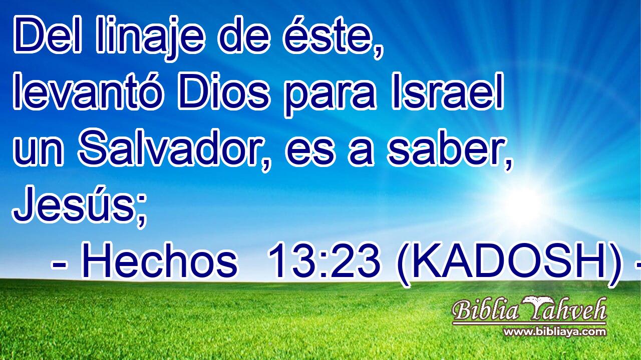  Del linaje de éste, levantó Dios para Israel un Salvador, es a saber, Jesús; 