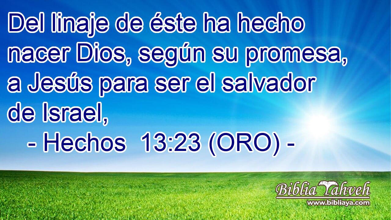  Del linaje de éste ha hecho nacer Dios, según su promesa, a Jesús para ser el salvador de Israel, 