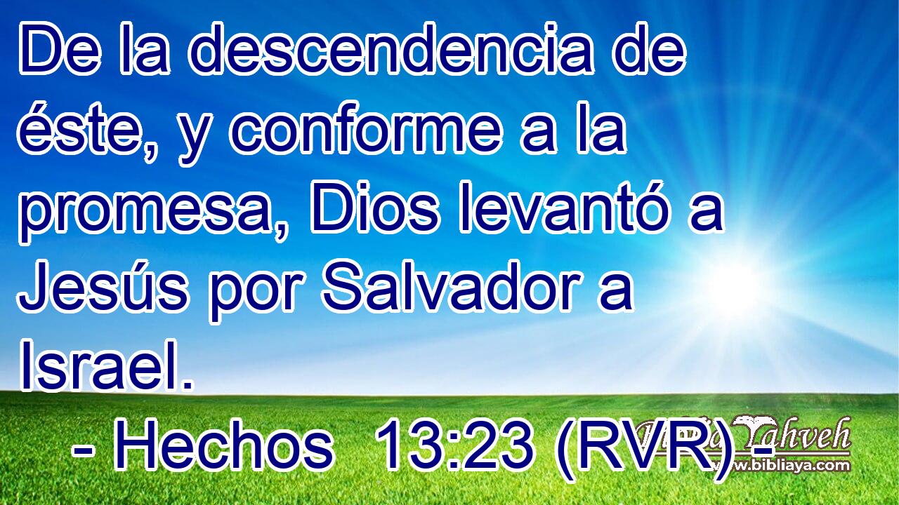 De la descendencia de éste, y conforme a la promesa, Dios levantó a Jesús por Salvador a Israel.