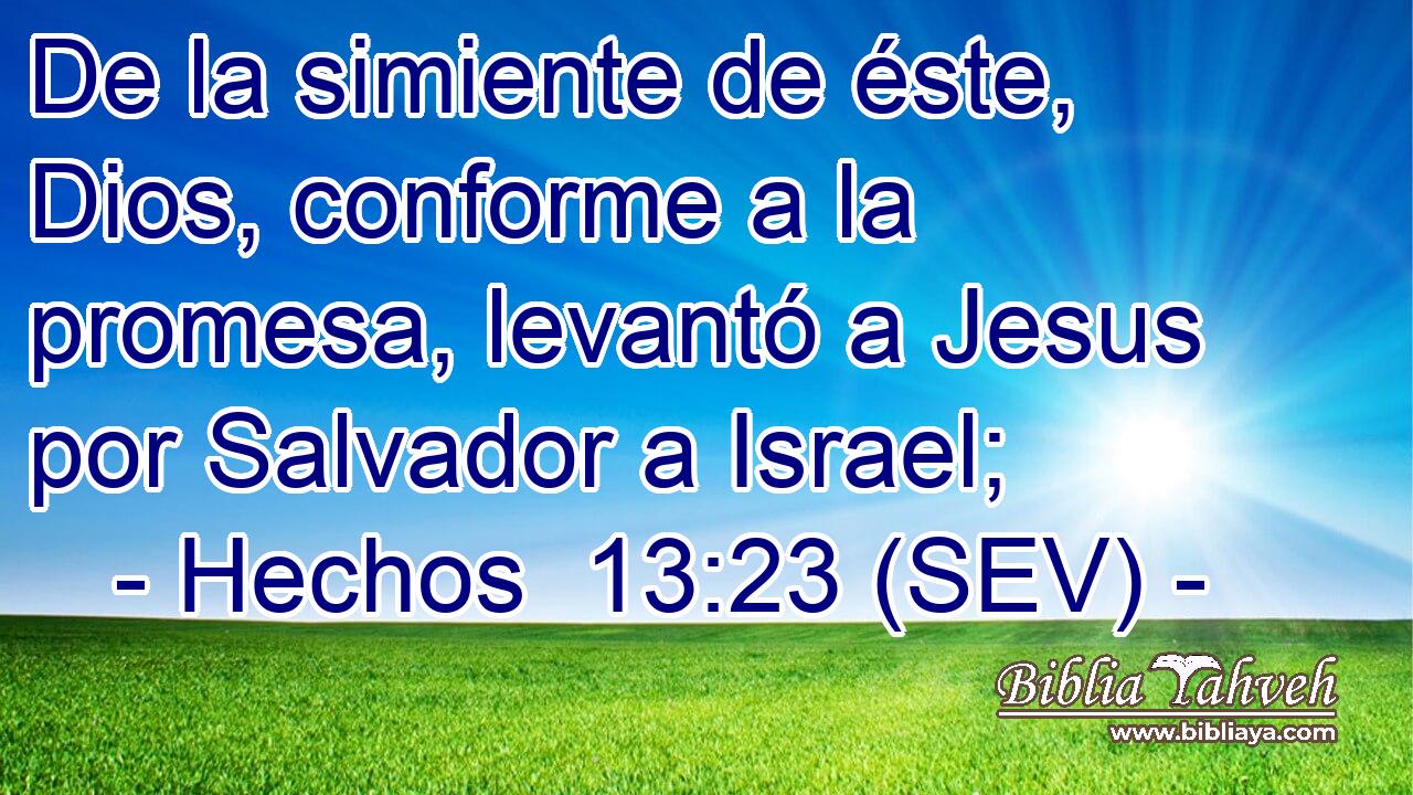 De la simiente de éste, Dios, conforme a la promesa, levantó a Jesus por Salvador a Israel;