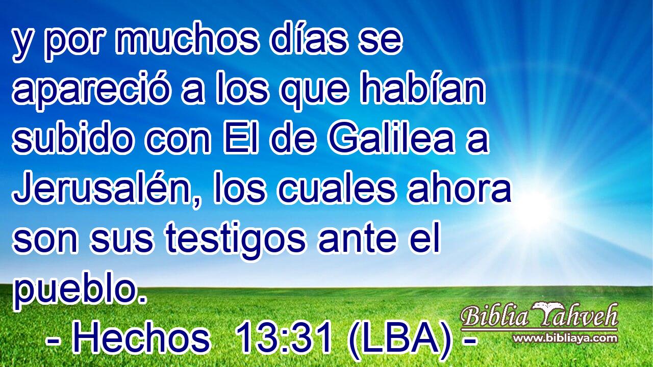 y por muchos días se apareció a los que habían subido con El de Galilea a Jerusalén, los cuales ahora son sus testigos ante el pueblo.