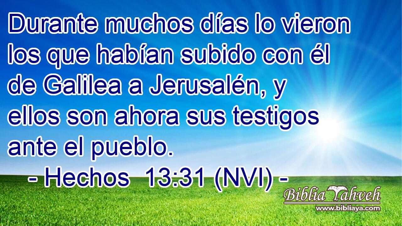  Durante muchos días lo vieron los que habían subido con él de Galilea a Jerusalén, y ellos son ahora sus testigos ante el pueblo. 
