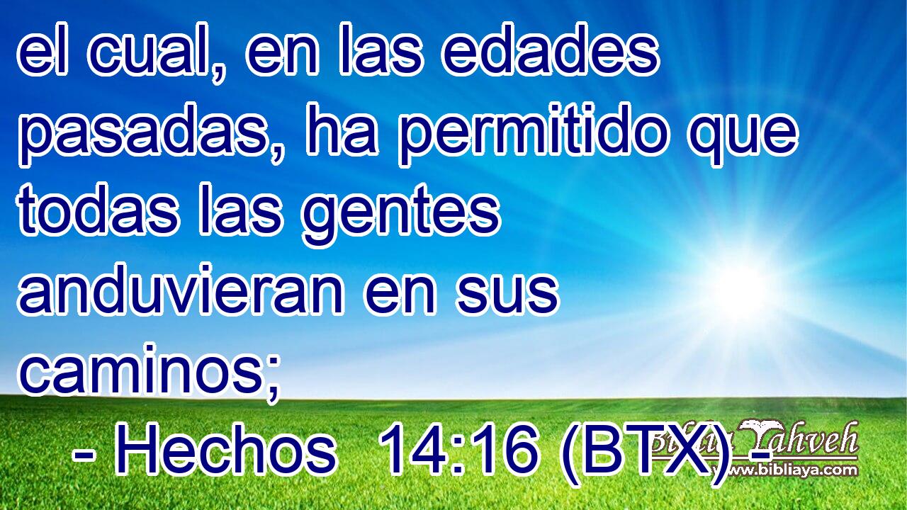 el cual, en las edades pasadas, ha permitido que todas las gentes anduvieran en sus caminos;