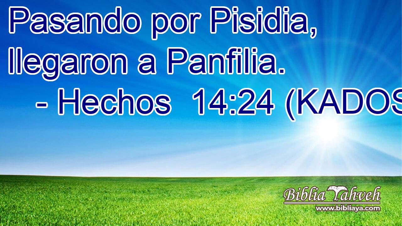  Pasando por Pisidia, llegaron a Panfilia. 