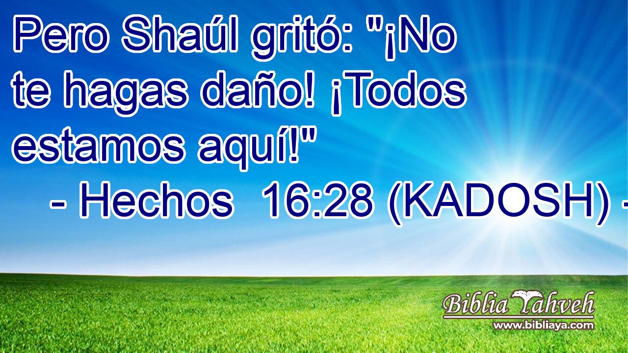  Pero Shaúl gritó: 