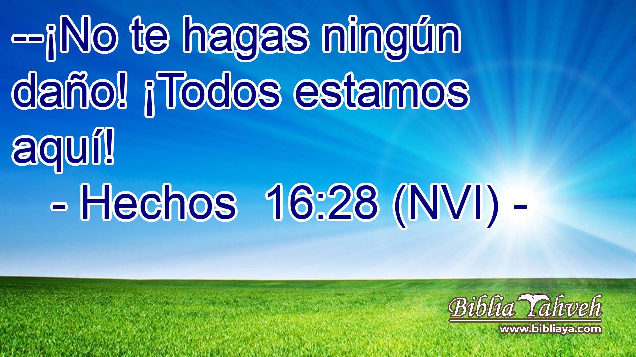  --¡No te hagas ningún daño! ¡Todos estamos aquí! 