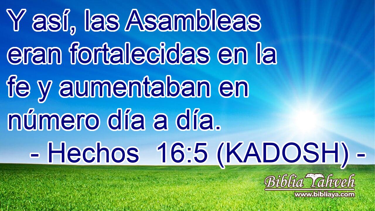  Y así, las Asambleas eran fortalecidas en la fe y aumentaban en número día a día. 