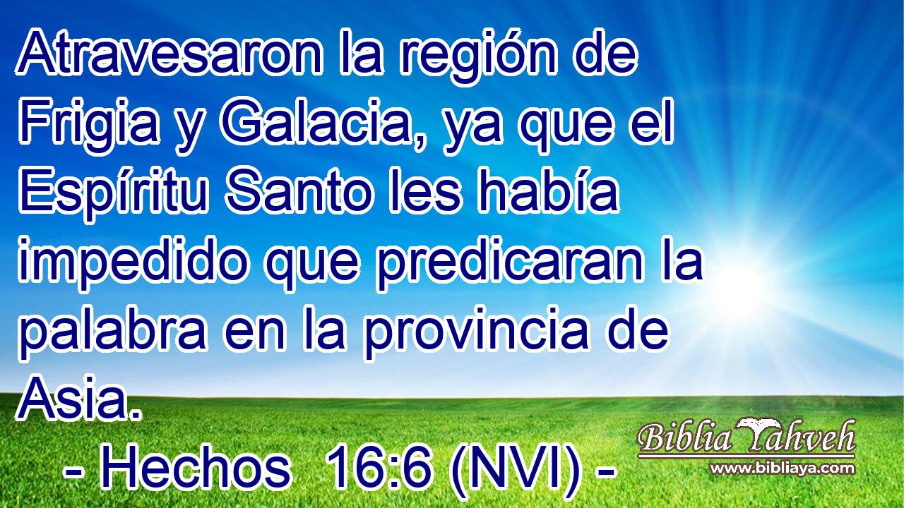  Atravesaron la región de Frigia y Galacia, ya que el Espíritu Santo les había impedido que predicaran la palabra en la provincia de Asia. 