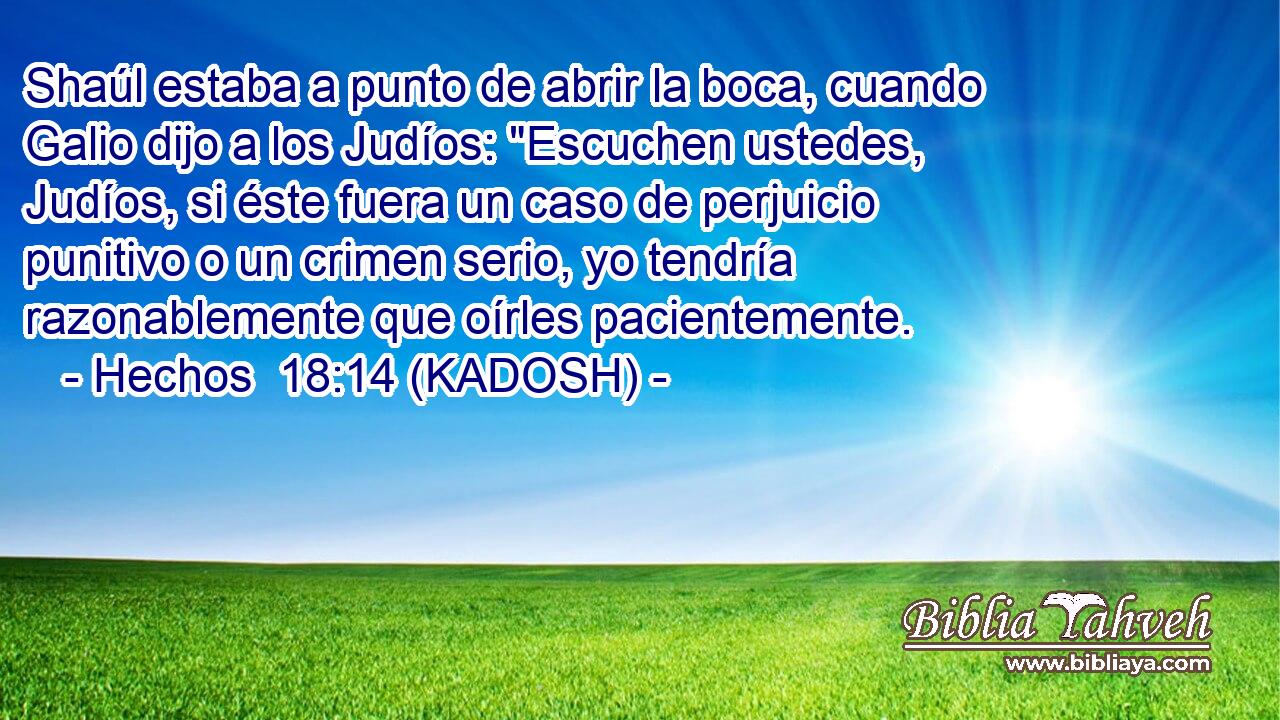  Shaúl estaba a punto de abrir la boca, cuando Galio dijo a los Judíos: 