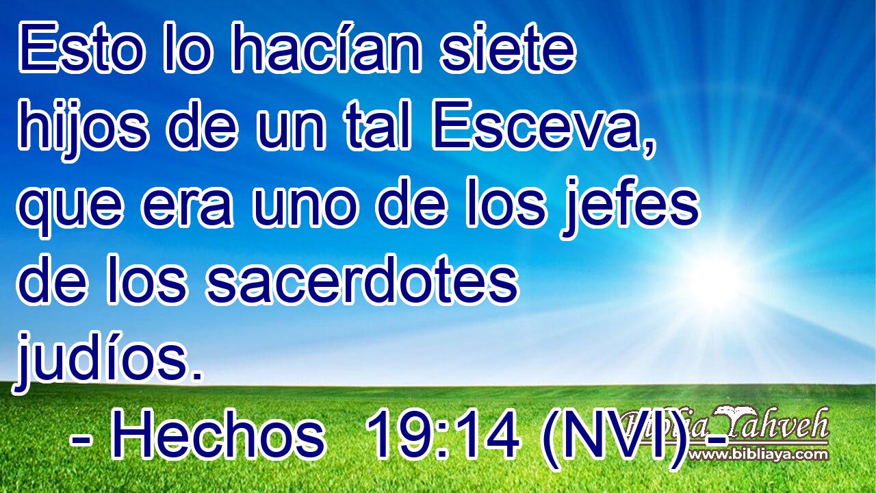  Esto lo hacían siete hijos de un tal Esceva, que era uno de los jefes de los sacerdotes judíos. 