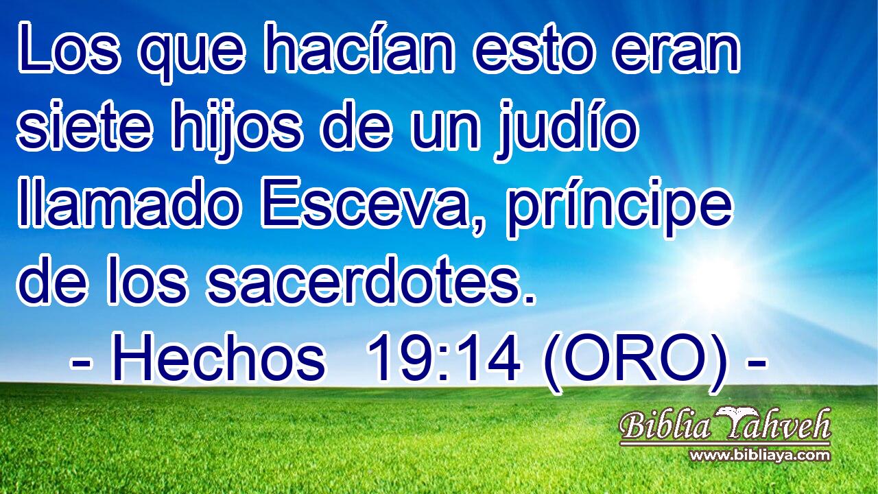  Los que hacían esto eran siete hijos de un judío llamado Esceva, príncipe de los sacerdotes. 