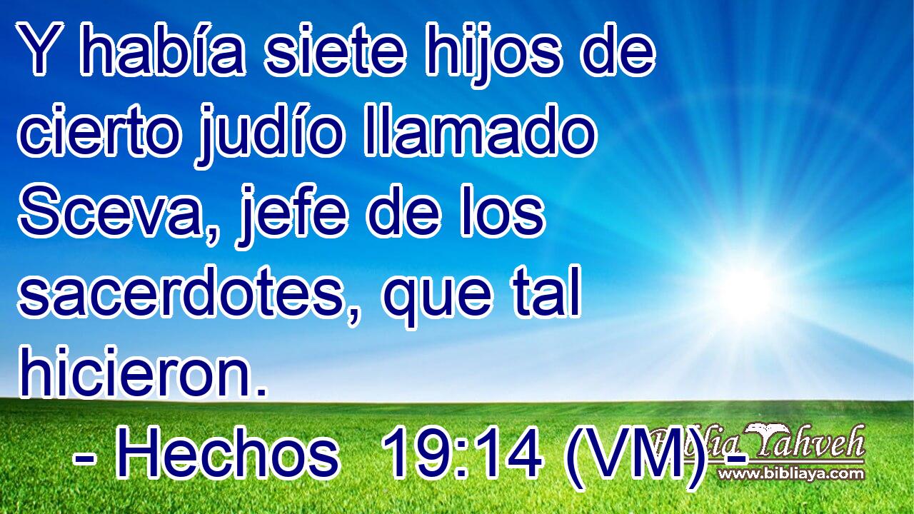  Y había siete hijos de cierto judío llamado Sceva, jefe de los sacerdotes, que tal hicieron. 