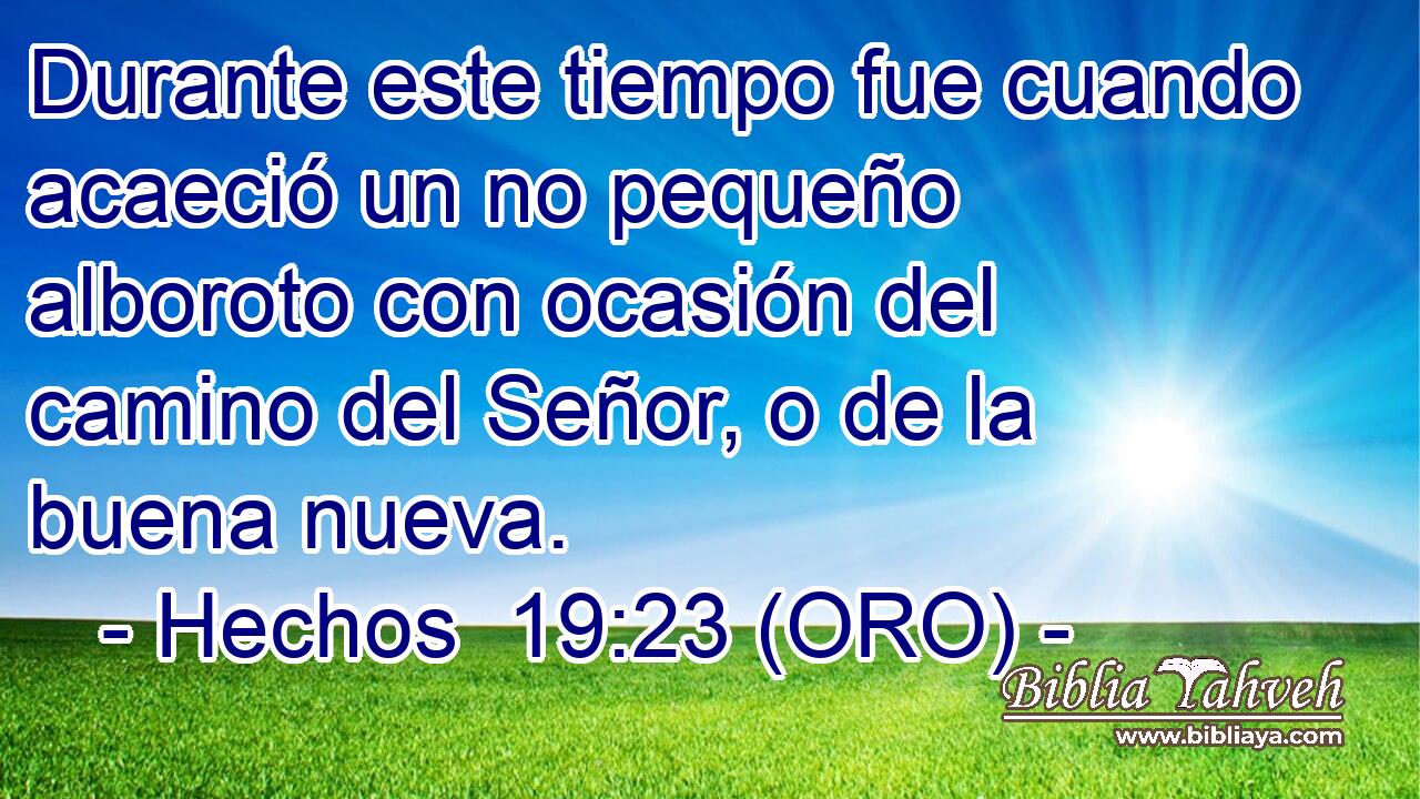  Durante este tiempo fue cuando acaeció un no pequeño alboroto con ocasión del camino del Señor, o de la buena nueva. 