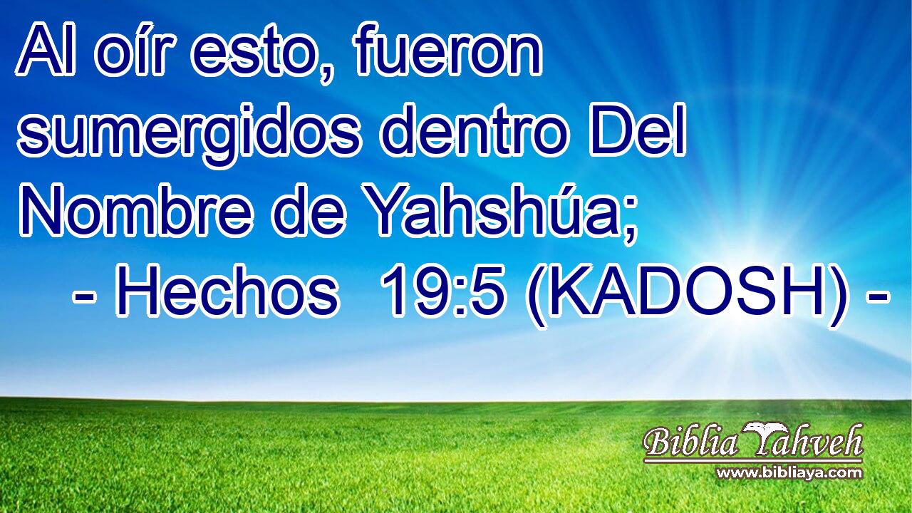  Al oír esto, fueron sumergidos dentro Del Nombre de Yahshúa; 