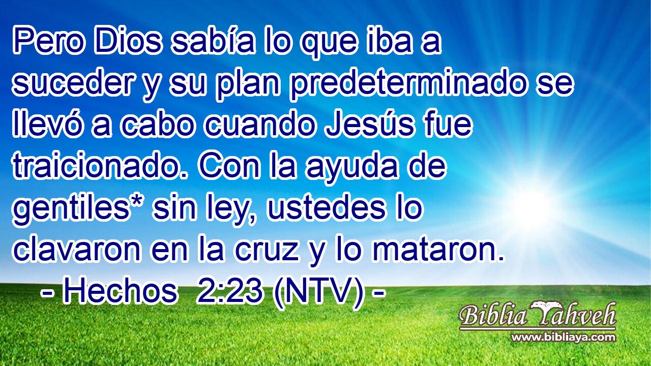 Pero Dios sabía lo que iba a suceder y su plan predeterminado se llevó a cabo cuando Jesús fue traicionado. Con la ayuda de gentiles* sin ley, ustedes lo clavaron en la cruz y lo mataron.