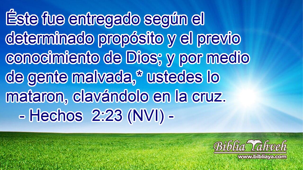  Éste fue entregado según el determinado propósito y el previo conocimiento de Dios; y por medio de gente malvada,* ustedes lo mataron, clavándolo en la cruz. 