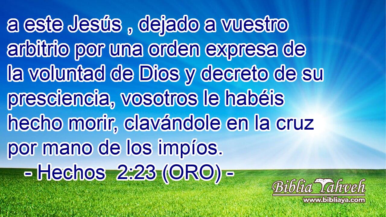  a este Jesús , dejado a vuestro arbitrio por una orden expresa de la voluntad de Dios y decreto de su presciencia, vosotros le habéis hecho morir, clavándole en la cruz por mano de los impíos. 