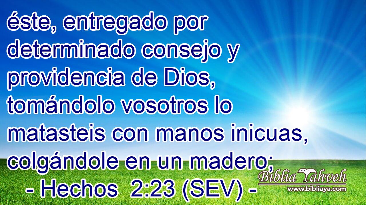 éste, entregado por determinado consejo y providencia de Dios, tomándolo vosotros lo matasteis con manos inicuas, colgándole en un madero;