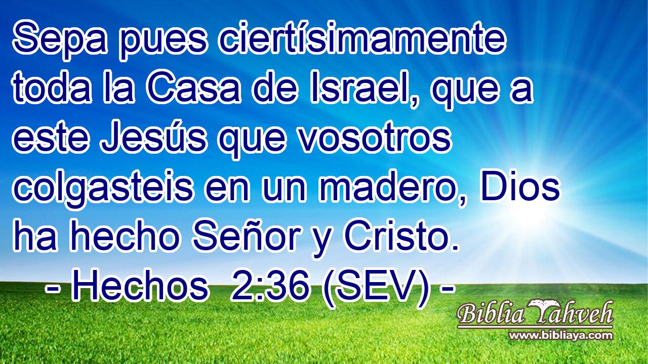 Sepa pues ciertísimamente toda la Casa de Israel, que a este Jesús que vosotros colgasteis en un madero, Dios ha hecho Señor y Cristo.