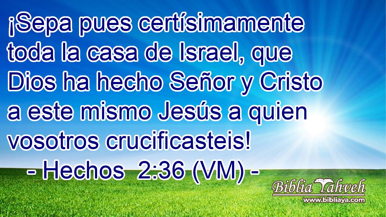  ¡Sepa pues certísimamente toda la casa de Israel, que Dios ha hecho Señor y Cristo a este mismo Jesús a quien vosotros crucificasteis! 