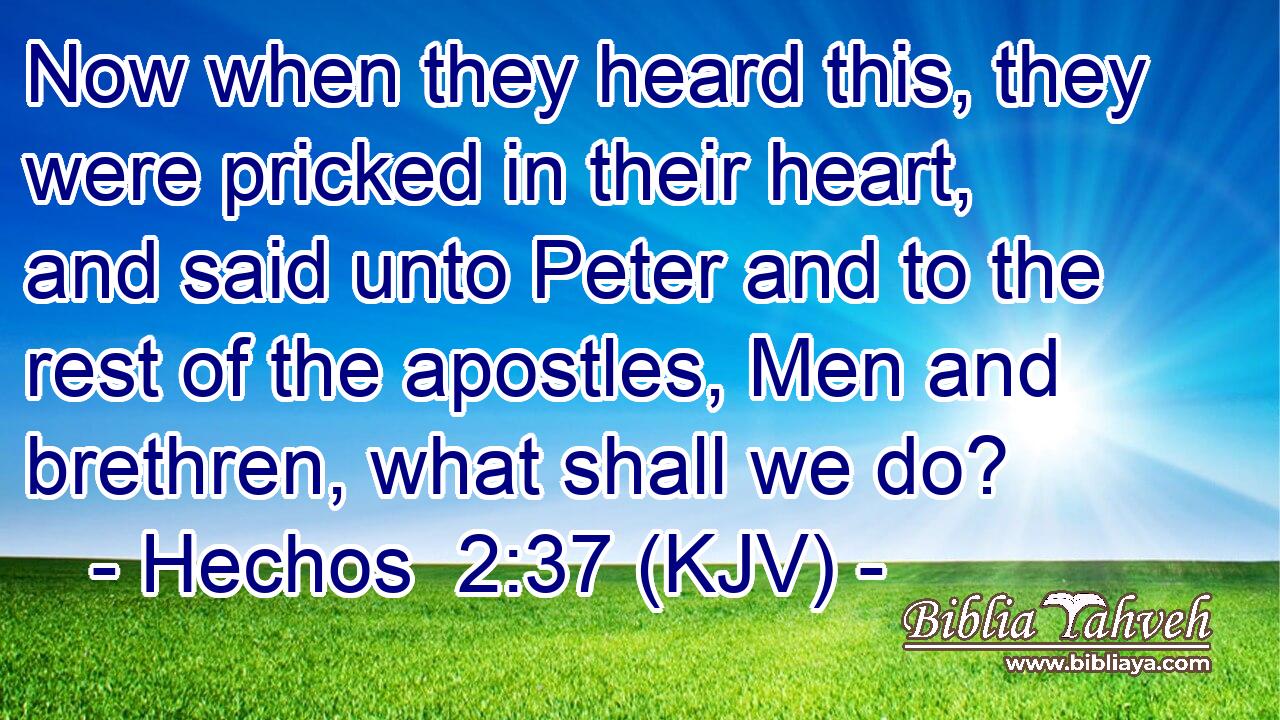 Now when they heard this, they were pricked in their heart, and said unto Peter and to the rest of the apostles, Men and brethren, what shall we do?