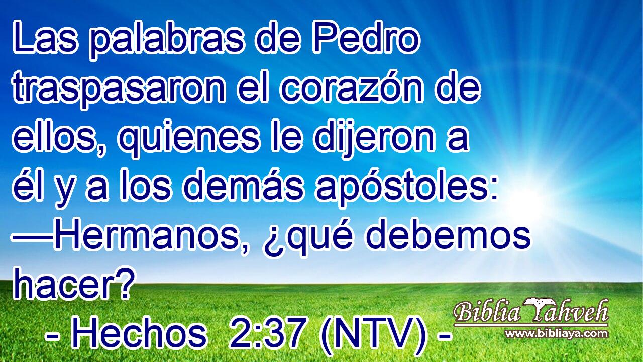 Las palabras de Pedro traspasaron el corazón de ellos, quienes le dijeron a él y a los demás apóstoles: —Hermanos, ¿qué debemos hacer?