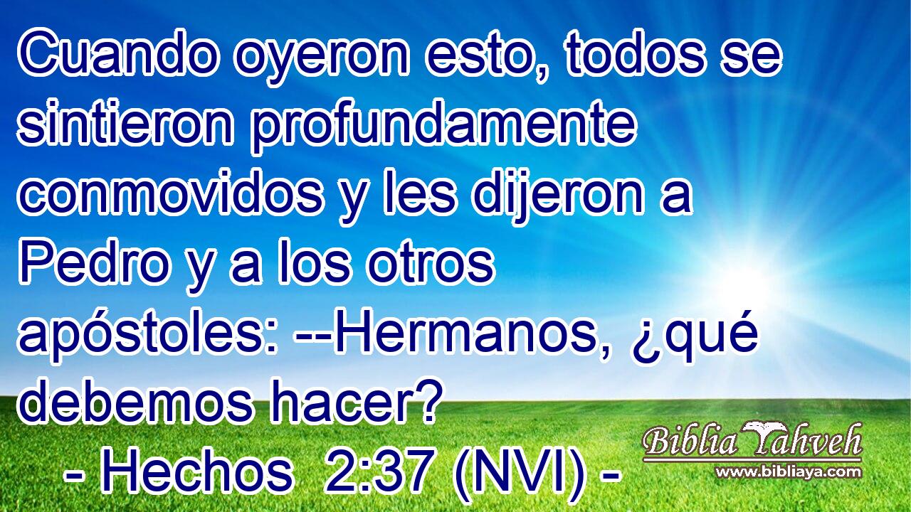  Cuando oyeron esto, todos se sintieron profundamente conmovidos y les dijeron a Pedro y a los otros apóstoles: --Hermanos, ¿qué debemos hacer? 