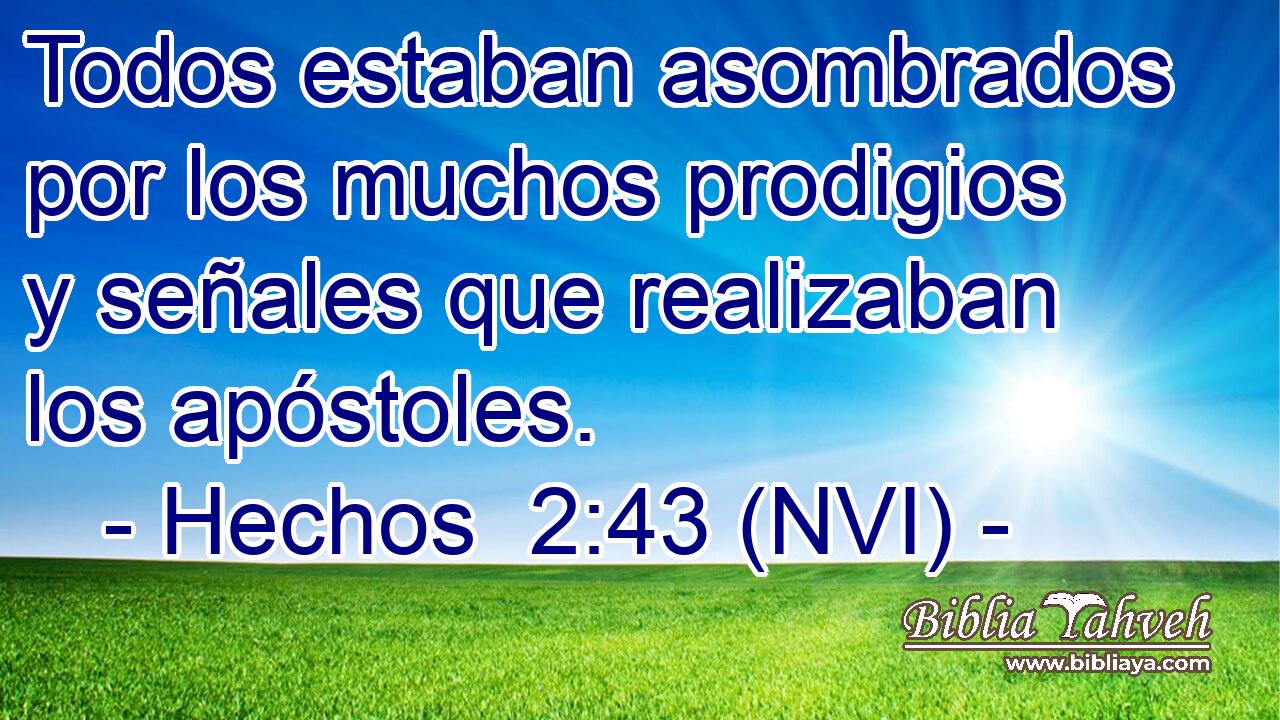  Todos estaban asombrados por los muchos prodigios y señales que realizaban los apóstoles. 