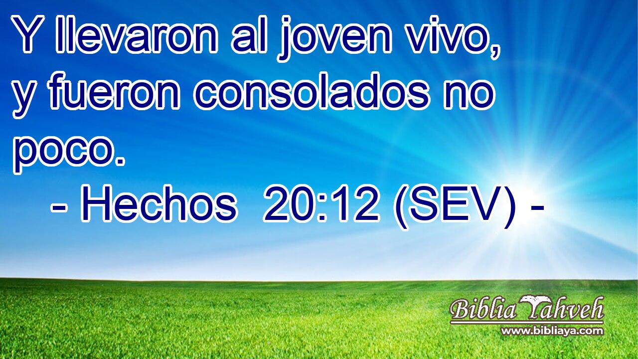 Y llevaron al joven vivo, y fueron consolados no poco.