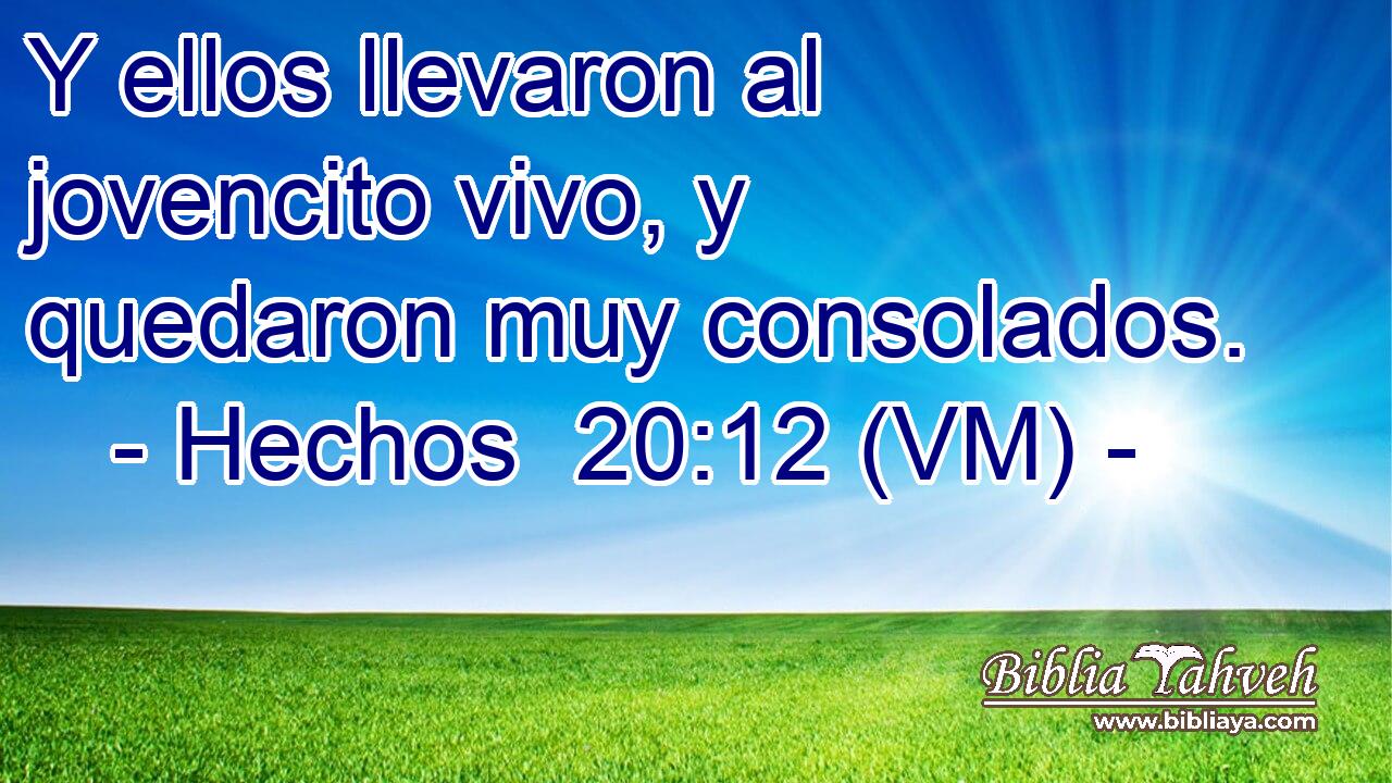  Y ellos llevaron al jovencito vivo, y quedaron muy consolados. 