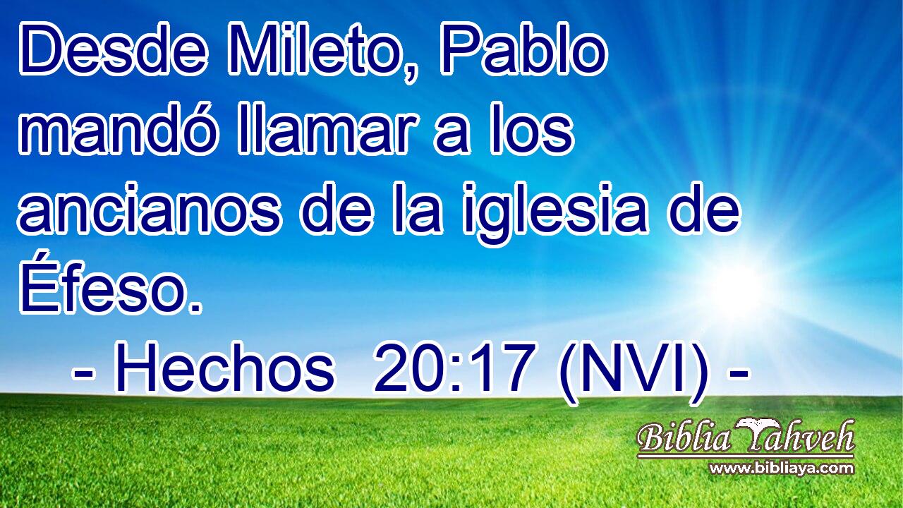  Desde Mileto, Pablo mandó llamar a los ancianos de la iglesia de Éfeso. 