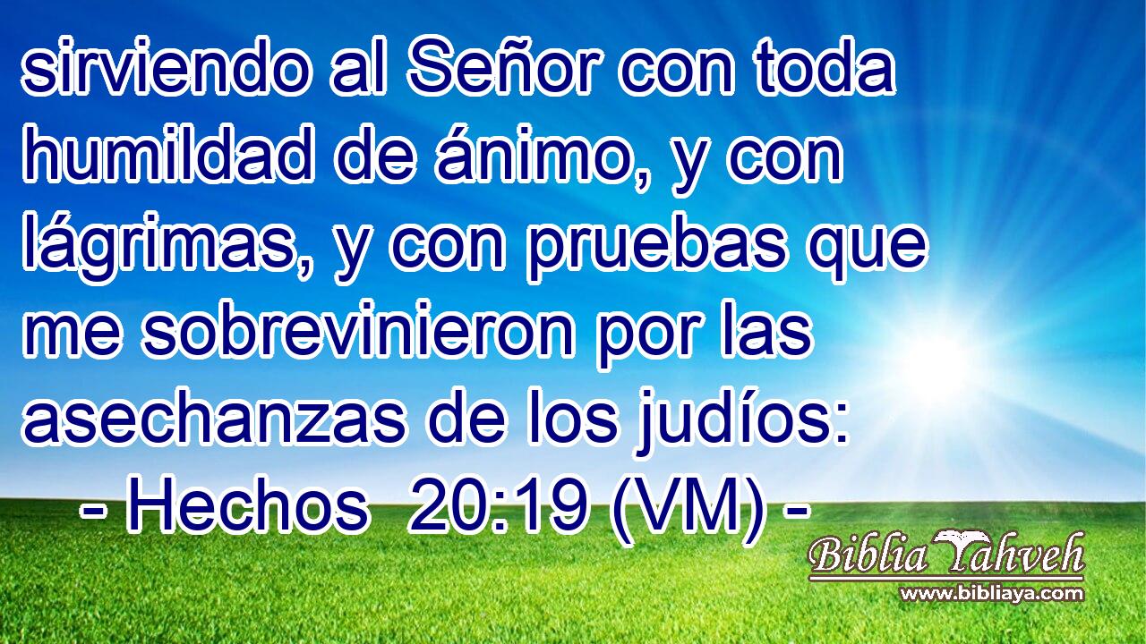  sirviendo al Señor con toda humildad de ánimo, y con lágrimas, y con pruebas que me sobrevinieron por las asechanzas de los judíos: 