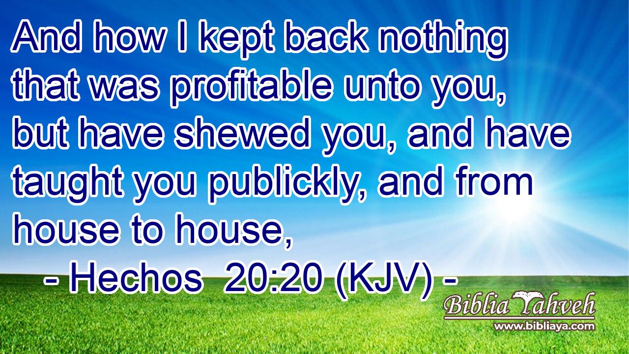 And how I kept back nothing that was profitable unto you, but have shewed you, and have taught you publickly, and from house to house,