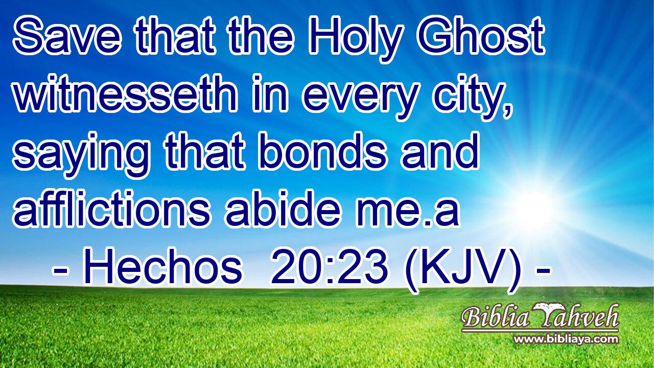 Save that the Holy Ghost witnesseth in every city, saying that bonds and afflictions abide me.a