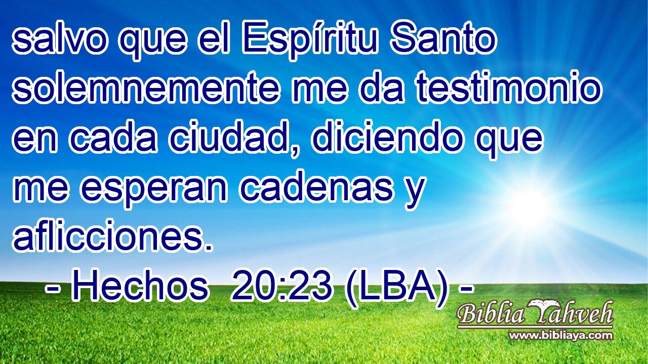 salvo que el Espíritu Santo solemnemente me da testimonio en cada ciudad, diciendo que me esperan cadenas y aflicciones.