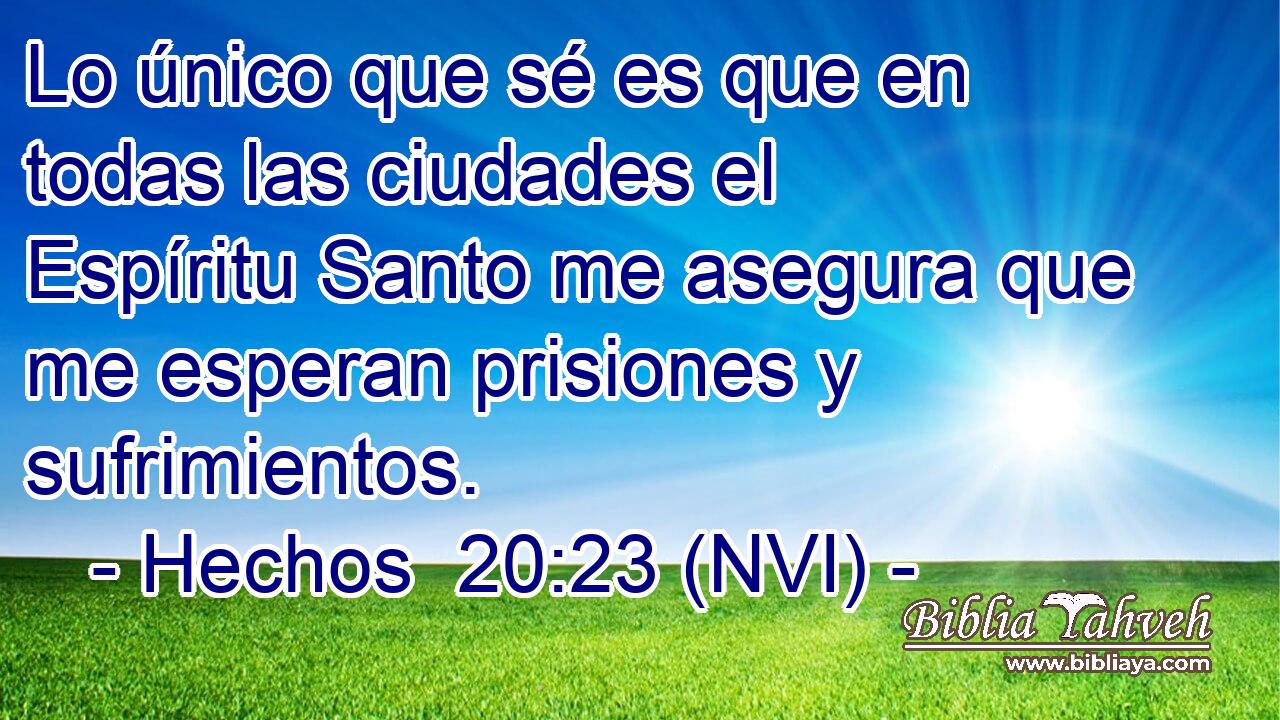  Lo único que sé es que en todas las ciudades el Espíritu Santo me asegura que me esperan prisiones y sufrimientos. 