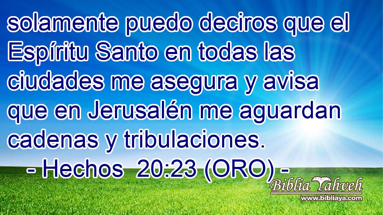  solamente puedo deciros que el Espíritu Santo en todas las ciudades me asegura y avisa que en Jerusalén me aguardan cadenas y tribulaciones. 
