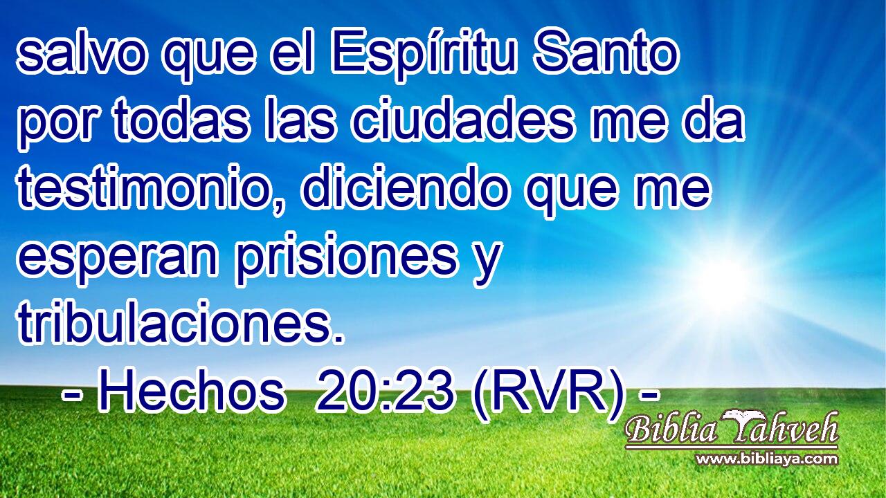 salvo que el Espíritu Santo por todas las ciudades me da testimonio, diciendo que me esperan prisiones y tribulaciones.